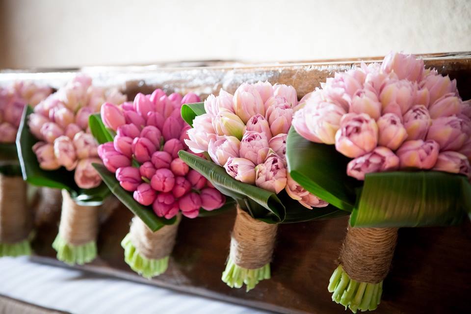 Flower tulips gif im 2.jpg